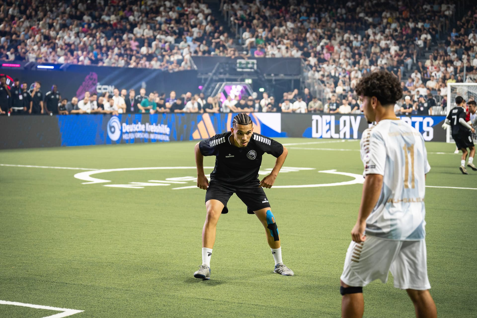 FOKUS Eagles Impression 8