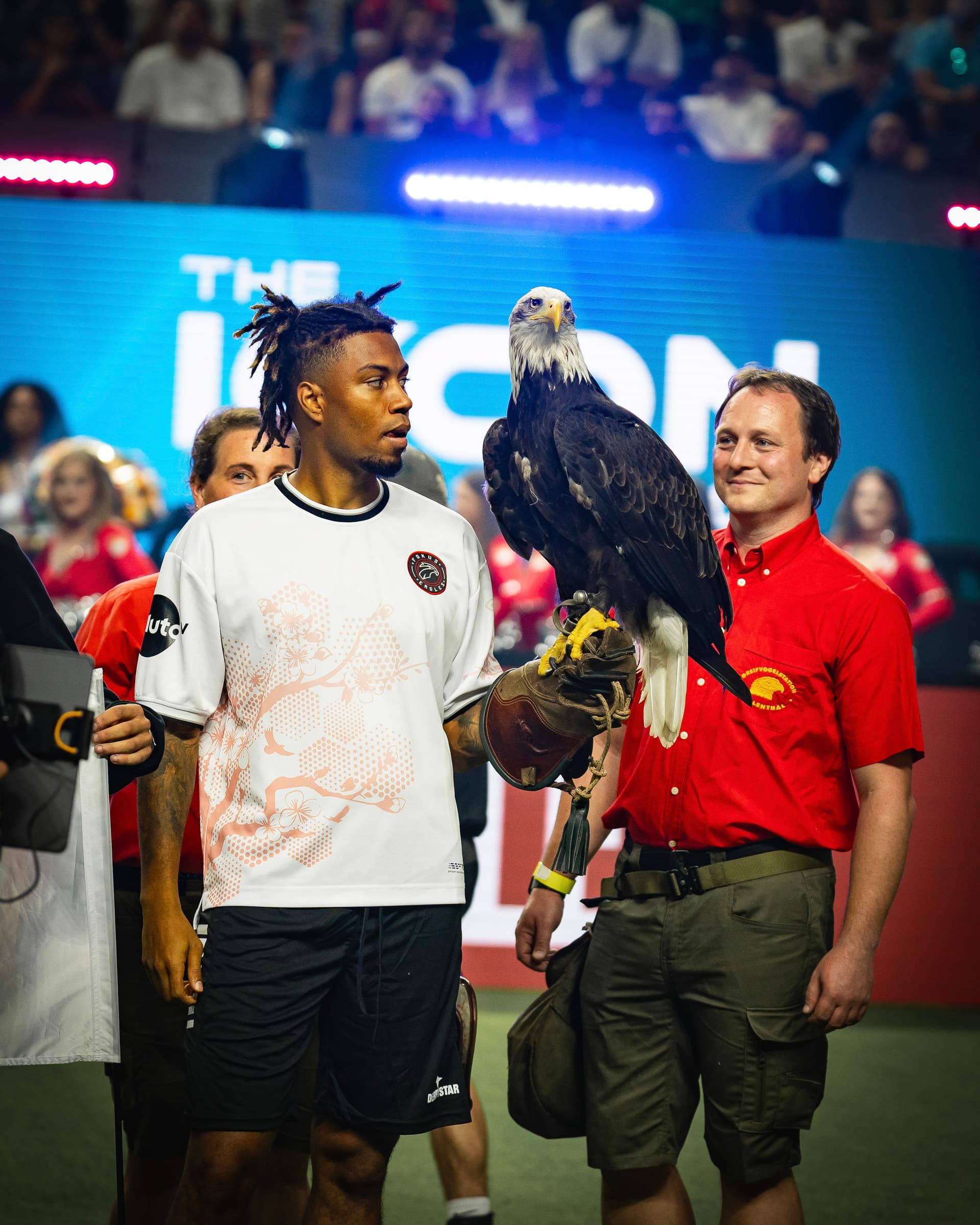 FOKUS Eagles Impression 12